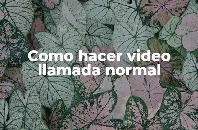 ¿Qué es una video llamada normal?