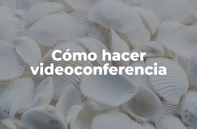Cómo Hacer Videoconferencia