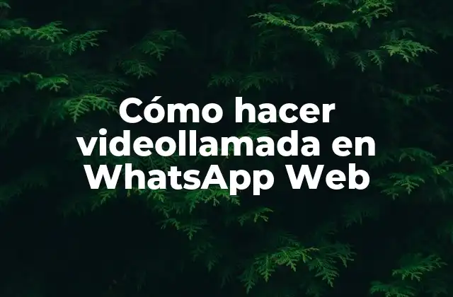 Cómo Hacer Videollamada en Whatsapp Web 2 Cómo hacer videollamada en WhatsApp Web