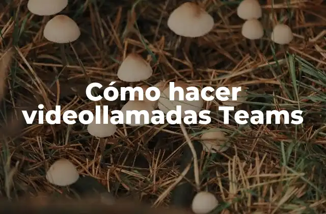 Cómo Hacer Videollamadas Teams