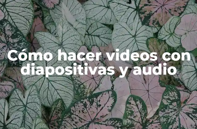 Cómo Hacer Videos con Diapositivas y Audio