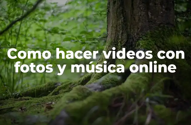 Como Hacer Videos con Fotos y Música Online