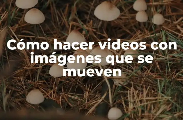 Cómo Hacer Videos con Imágenes que Se Mueven