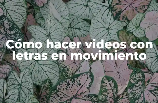 Cómo Hacer Videos con Letras en Movimiento