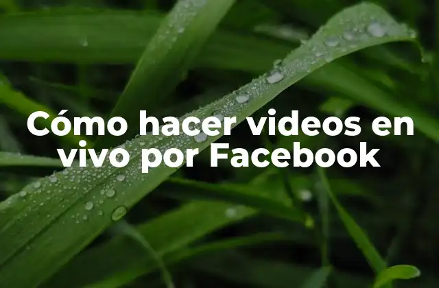 Cómo Hacer Videos en Vivo por Facebook
