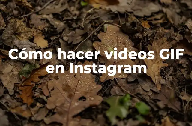 Cómo Hacer Videos Gif en Instagram