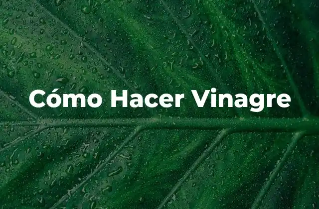 Cómo Hacer Vinagre 16 ¿Qué es el Vinagre y para Qué Sirve?