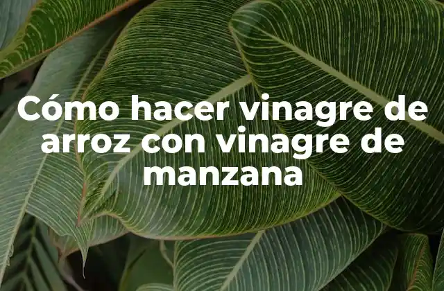 Cómo Hacer Vinagre de Arroz con Vinagre de Manzana
