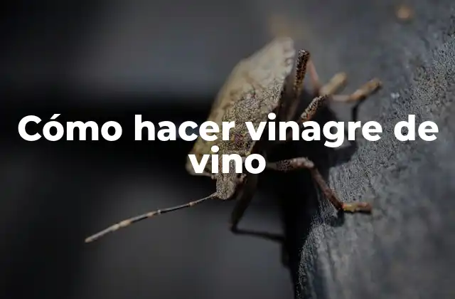 Cómo Hacer Vinagre de Vino