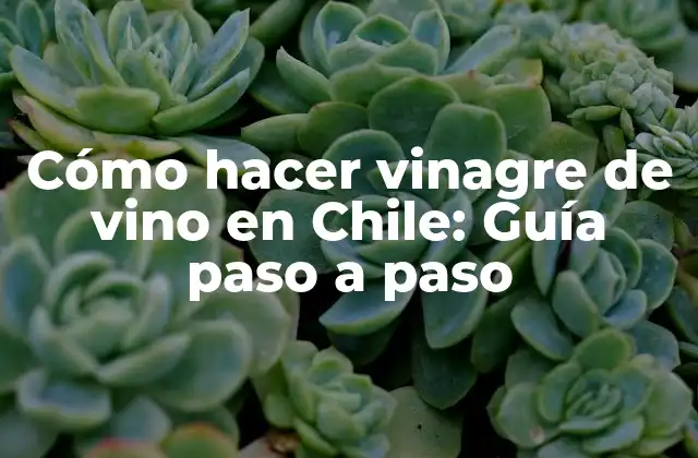 Cómo Hacer Vinagre de Vino en Chile: Guía Paso a Paso