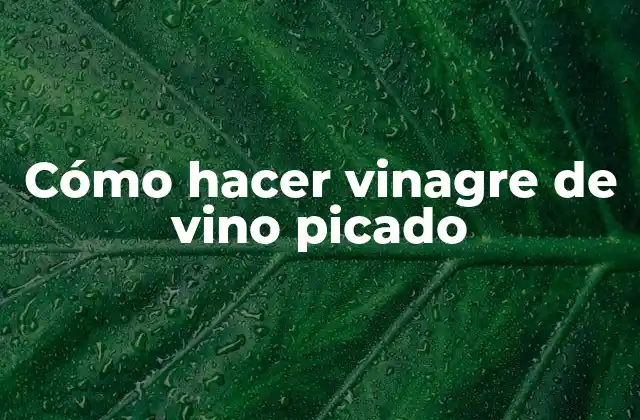 Cómo Hacer Vinagre de Vino Picado