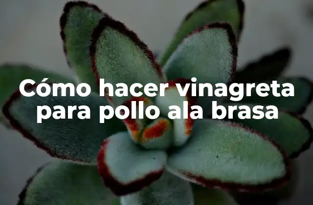 Cómo Hacer Vinagreta para Pollo Ala Brasa