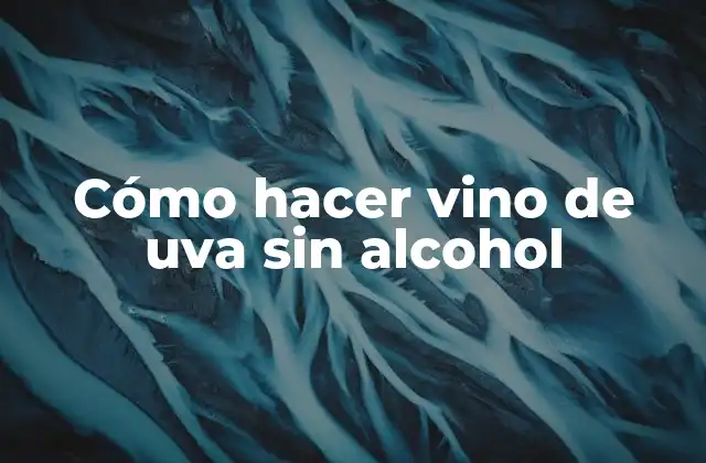 Cómo Hacer Vino de Uva sin Alcohol 2 ¿Qué es el vino de uva sin alcohol y para qué sirve?