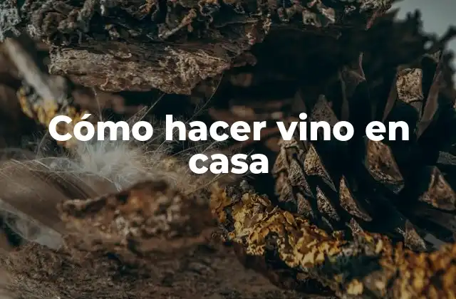 Cómo Hacer Vino en Casa