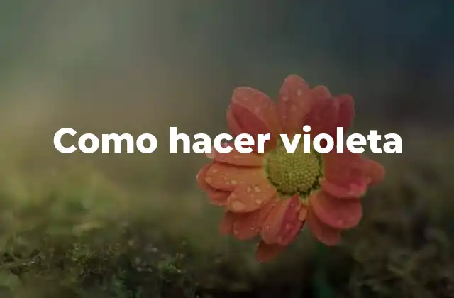 Como Hacer Violeta