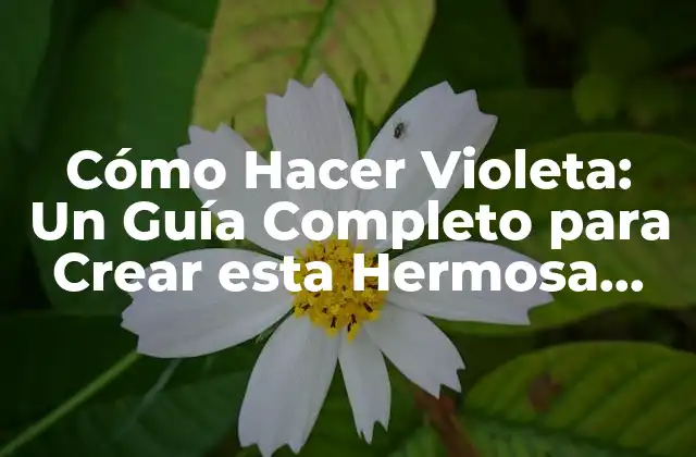 ¿Cuál es la Variedad de Violeta Adeuada para mi Jardín?