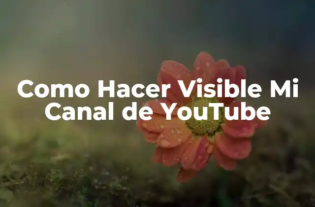 Como Hacer Visible Mi Canal de Youtube