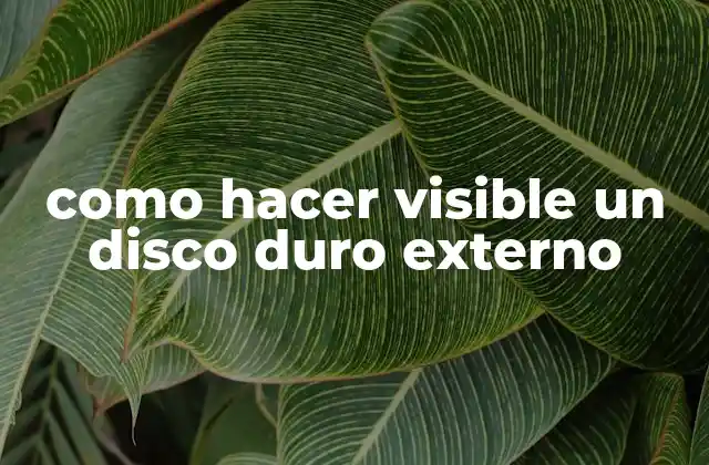 Como Hacer Visible un Disco Duro Externo