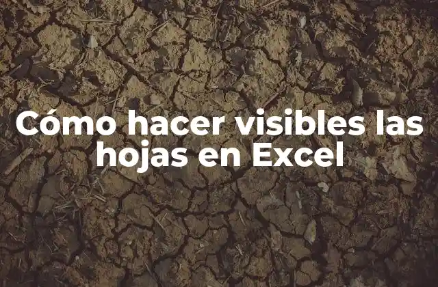 Cómo Hacer Visibles las Hojas en Excel