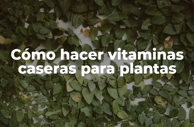 Cómo Hacer Vitaminas Caseras para Plantas