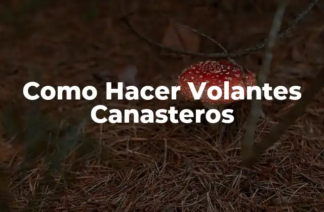 ¿Qué son los Volantes Canasteros y para Qué Sirven?