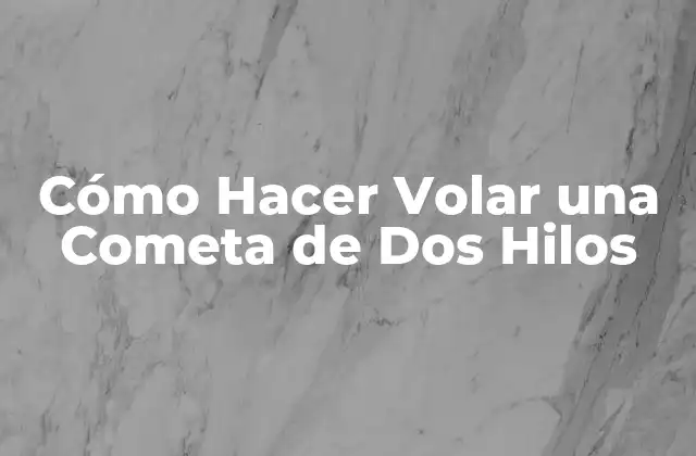 Cómo Hacer Volar una Cometa de Dos Hilos