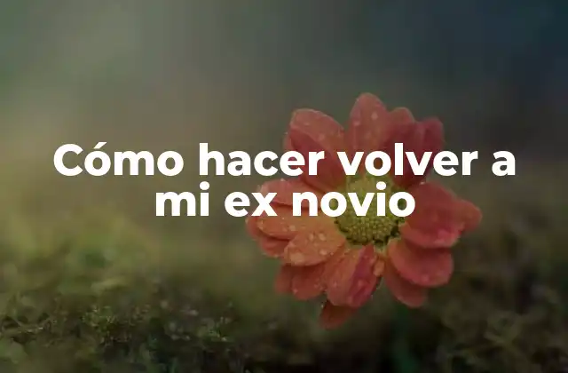 Cómo Hacer Volver a Mi Ex Novio