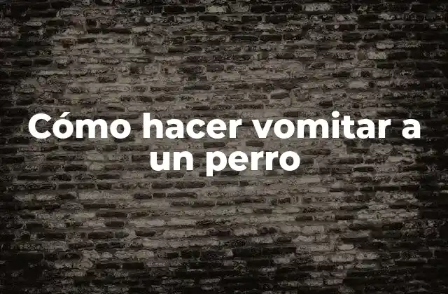 Cómo Hacer Vomitar a un Perro