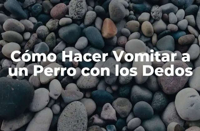 Cómo Hacer Vomitar a un Perro con los Dedos