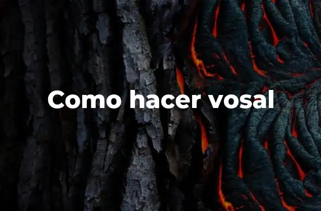 Como Hacer Vosal