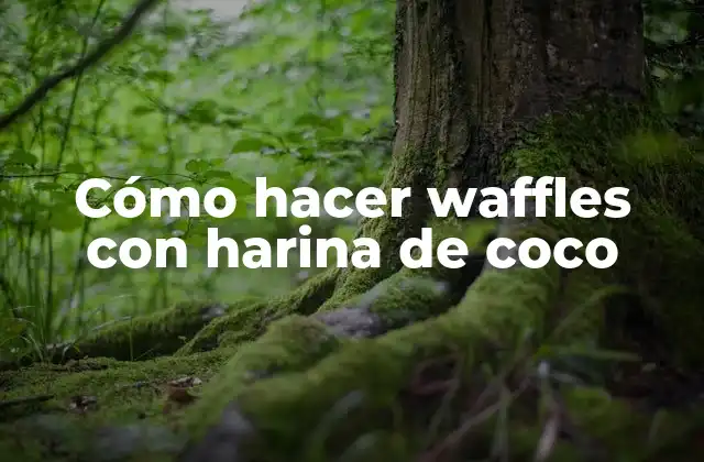 Cómo Hacer Waffles con Harina de Coco