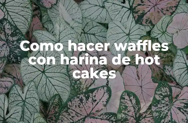 Como Hacer Waffles con Harina de Hot Cakes