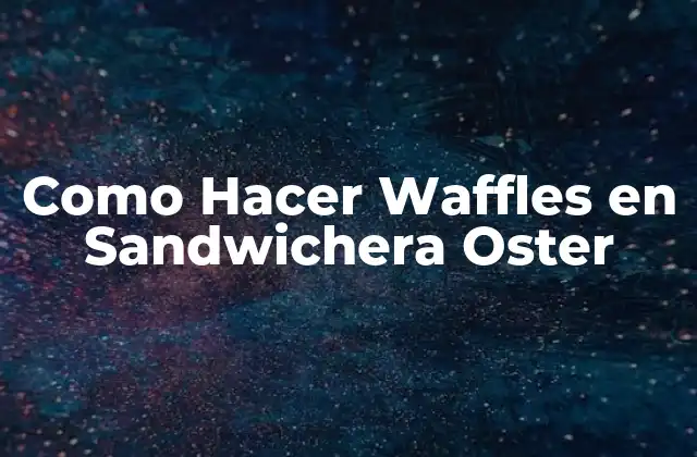 Como Hacer Waffles en Sandwichera Oster