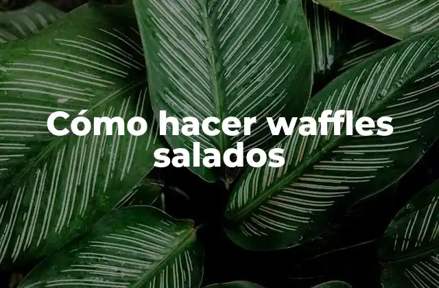 Cómo hacer waffles salados