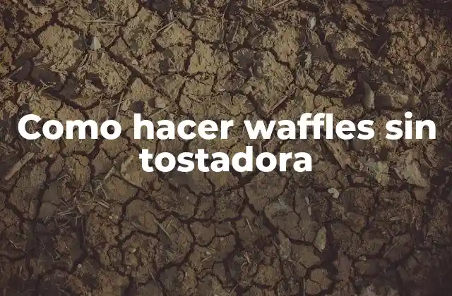 Como Hacer Waffles sin Tostadora