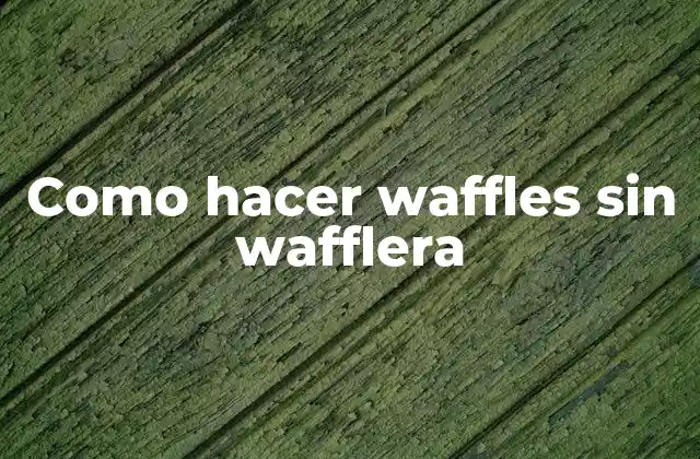 Como Hacer Waffles sin Wafflera