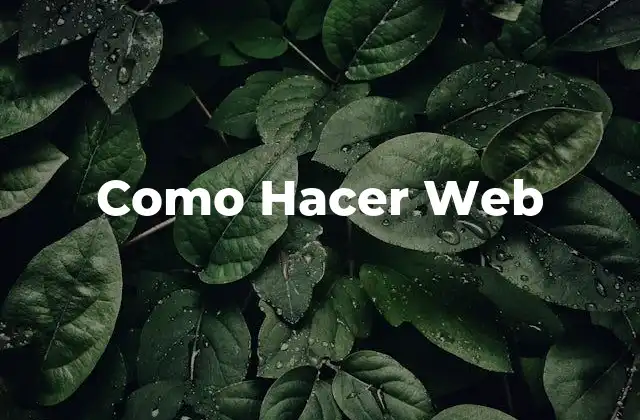 Como Hacer Web