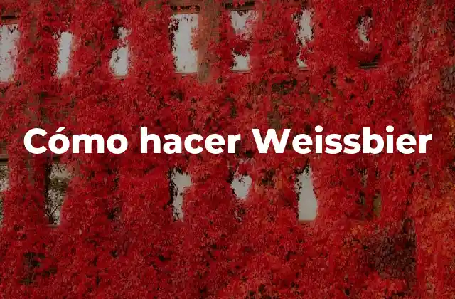 ¿Qué es la cerveza Weissbier?