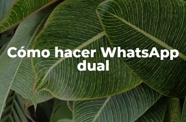 Cómo Hacer Whatsapp Dual