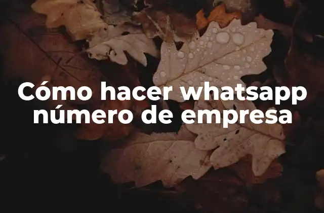 Cómo Hacer Whatsapp Número de Empresa