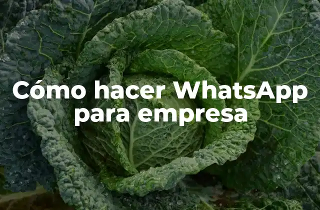 Cómo Hacer Whatsapp para Empresa 2 Cómo hacer WhatsApp para empresa
