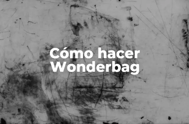 Cómo Hacer Wonderbag