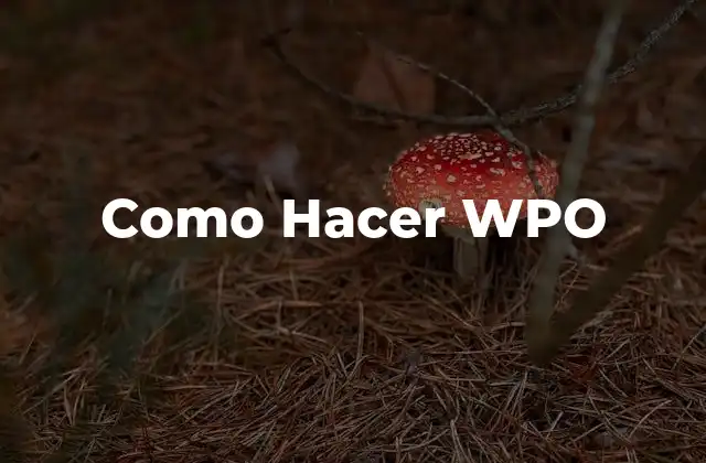 Como Hacer Wpo
