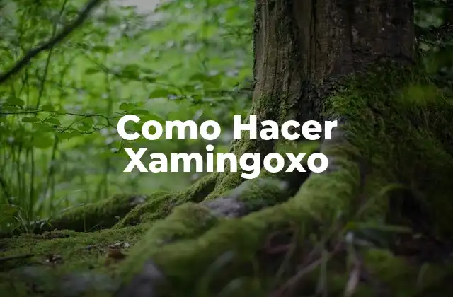 Como Hacer Xamingoxo