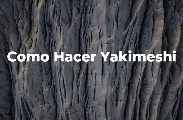 ¿Qué es Yakimeshi?