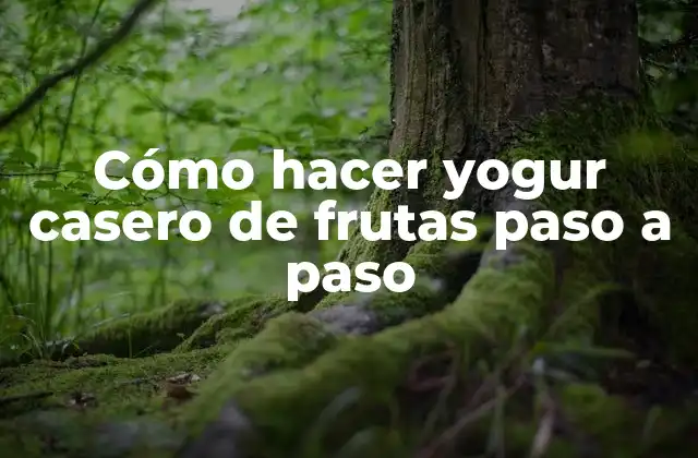 Cómo Hacer Yogur Casero de Frutas Paso a Paso