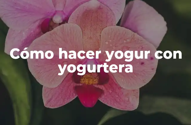 Cómo Hacer Yogur con Yogurtera