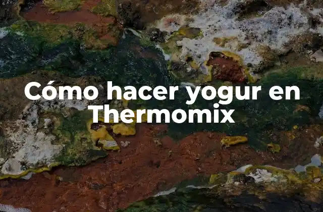 Cómo Hacer Yogur en Thermomix