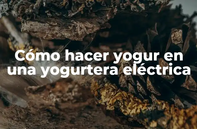 Cómo Hacer Yogur en una Yogurtera Eléctrica