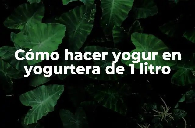 Cómo Hacer Yogur en Yogurtera de 1 Litro